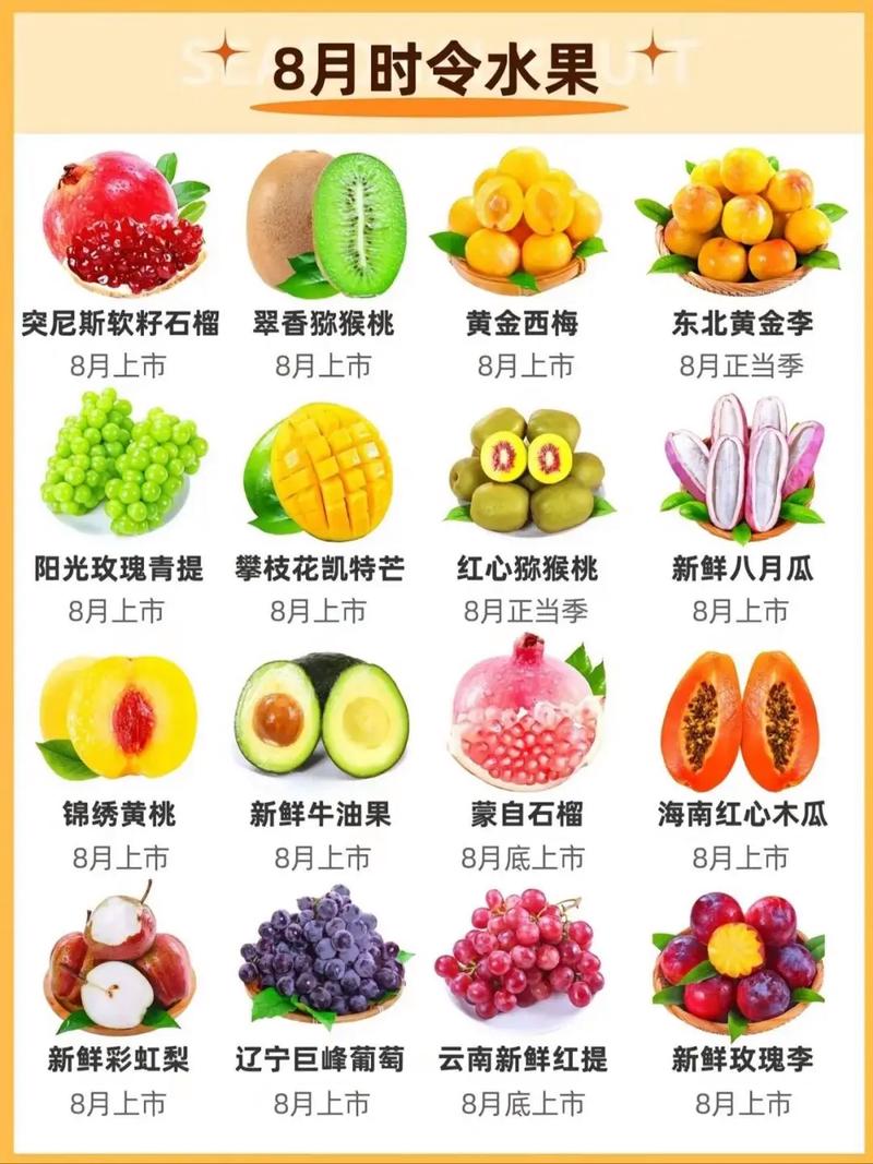临海果蔬批发：打造绿色生活，从选购新鲜果蔬开始